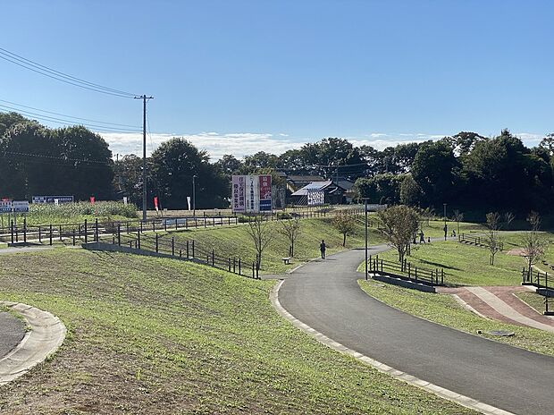 みらい平さくら公園（約3,010m）