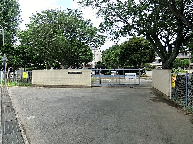 下高津小学校（約115m）