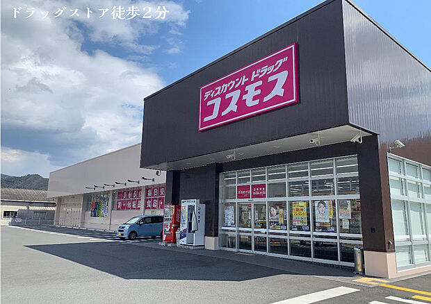 コスモス（約140m）