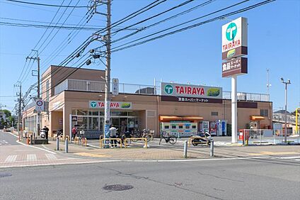 エコス TAIRAYA(タイラヤ) 武蔵藤沢店 510m