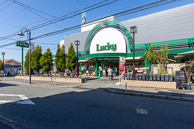 ラッキー 交野店（約230m）