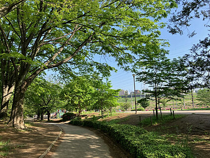 美しが丘公園 現地から800m。(徒歩10分。)