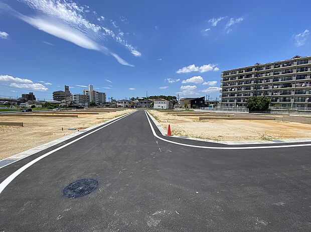 (2023年7月夏)撮影