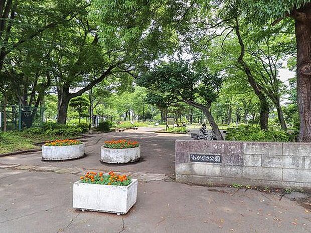 わかぐさ公園（約284m）