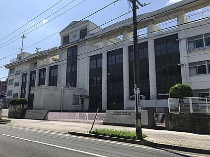 豊橋市立羽根井小学校 現地から310m。(徒歩4分。)