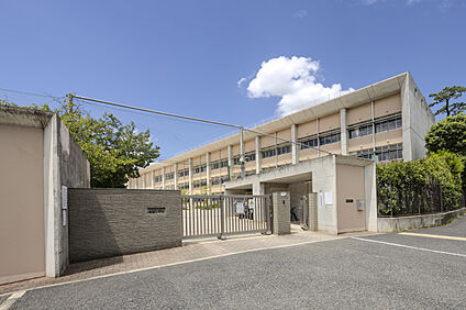 芦屋市立精道小学校 現地から510m。(徒歩7分。)