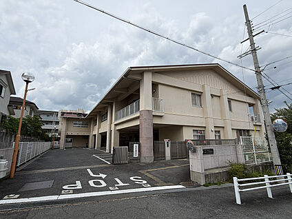 右京こだま保育園 現地から230m～260m。(徒歩3分～4分。)