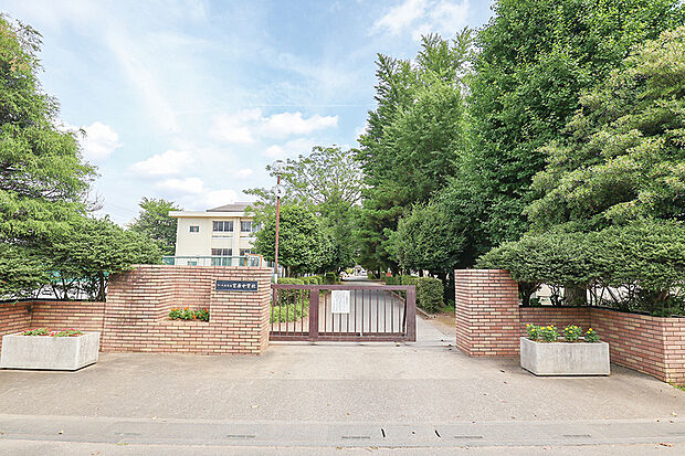 宮原中学校(現地より徒歩11分)