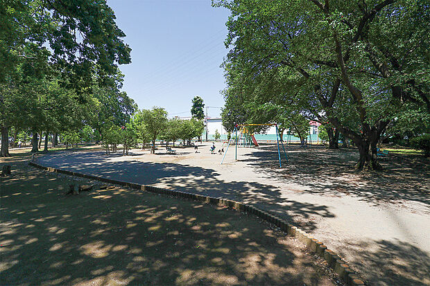 吉野公園(現地より徒歩5分)