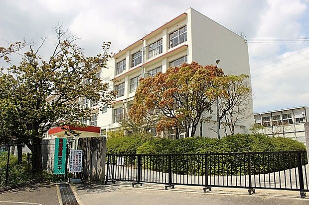 富士見小学校(約1,754m)