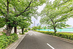 兵庫県芦屋市精道町12-4