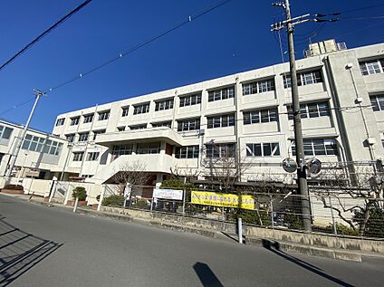 羽曳野市立古市小学校 約573m～約613m(徒歩8分)