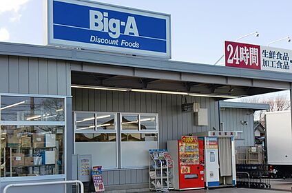 ビッグ・エー狭山広瀬東店 約950ｍ(約12分)