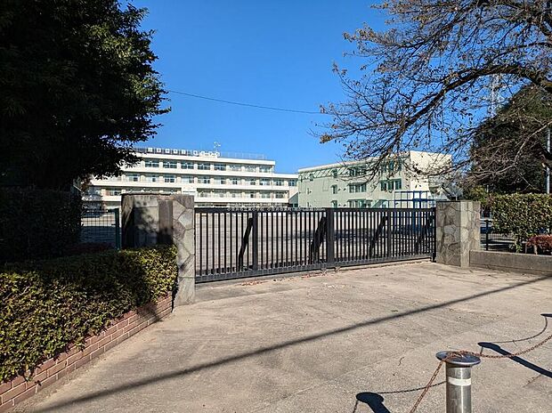 小金井市立東小学校(約1,000m)