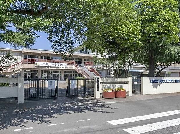 小平市立小平第十一小学校(約650m)