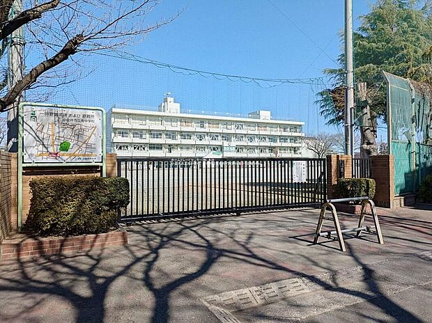 小金井市立南中学校(約550m)