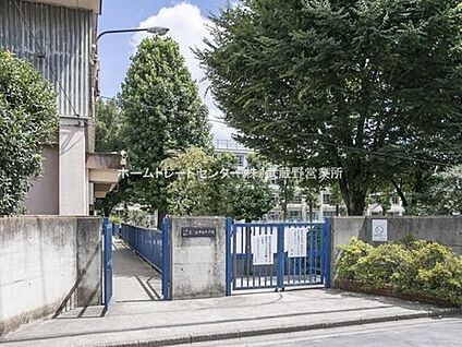 小平市立花小金井南中学校 1200m(徒歩15分)