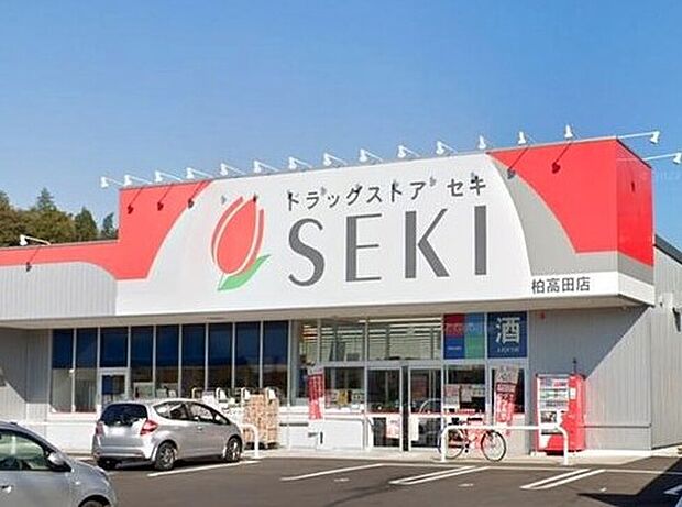 ドラッグストアセキ柏高田店（約600m）