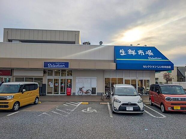 セレクション しいの木台店（約540m）