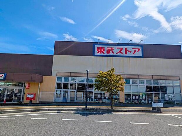東武ストア逆井店（約850m）