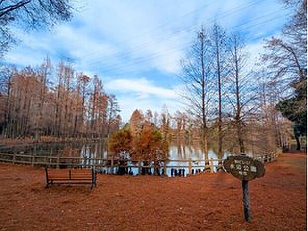 柏ビレジ水辺公園（約450m）