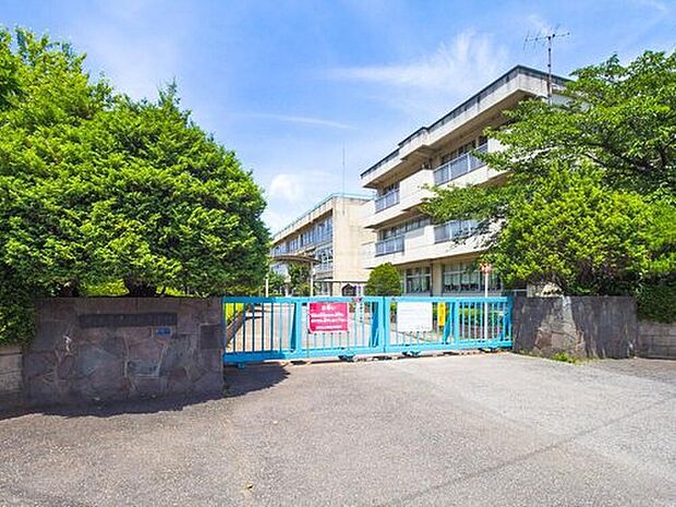 柏市立土南部小学校（約550m）