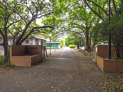 柏市立藤心小学校 1040ｍ(徒歩13分)