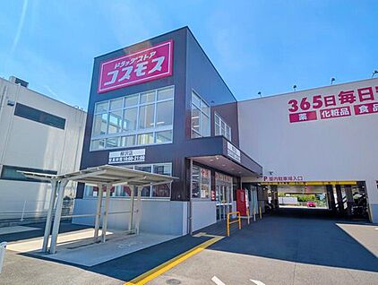 ディスカウントドラッグコスモス柳沢店 1100m (徒歩14分)