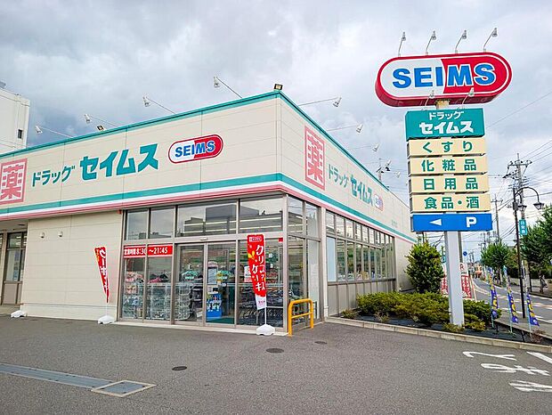 ドラッグセイムス流山美原店（約750m）