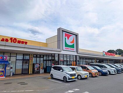 ヨークフーズ柏の葉公園店 900ｍ(徒歩12分)