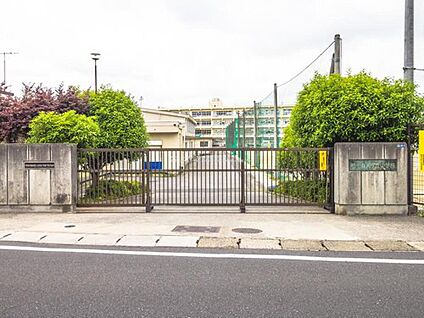 柏市立光ケ丘中学校 1790m (徒歩23分)