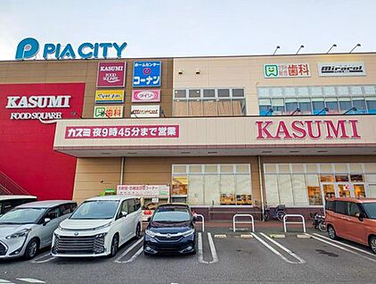カスミフードスクエア柏中新宿店 440m (徒歩6分)