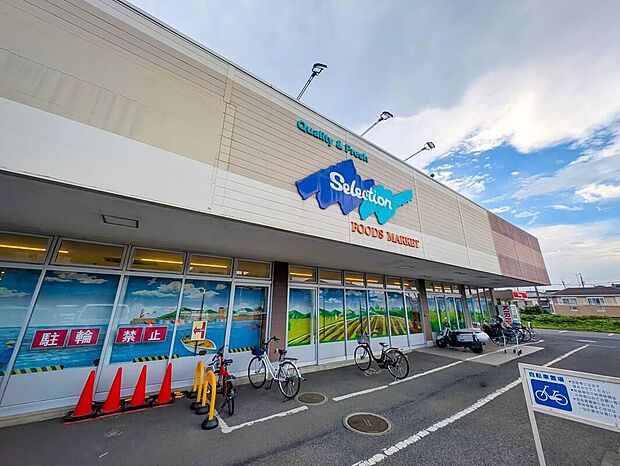 セレクション青葉台店（約850m）