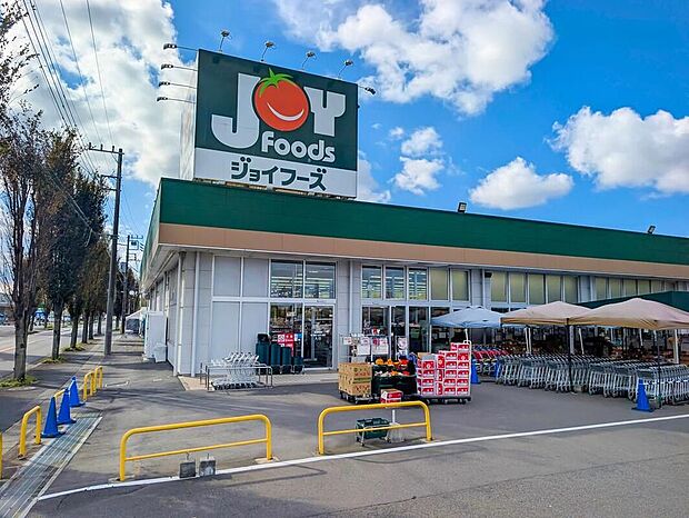 ジョイフーズ新木駅前店（約300m）