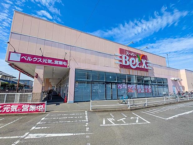 ベルクス南柏店（約700m）