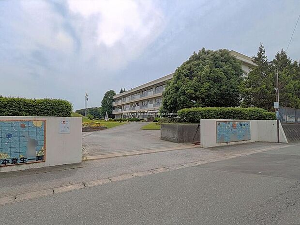 野田市立山崎小学校(約500m)