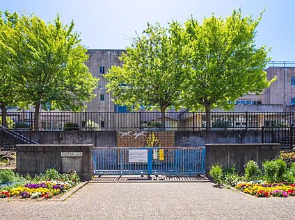 柏市立松葉第一小学校 270m(徒歩4分)