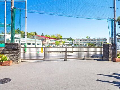柏市立土中学校 260ｍ(徒歩4分)
