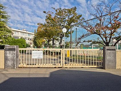柏市立柏第三中学校 1050m(徒歩14分)