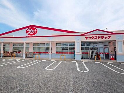 ヤックスドラッグ野田店 300m(徒歩4分)