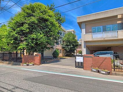 柏市立酒井根中学校 1000ｍ(徒歩13分)