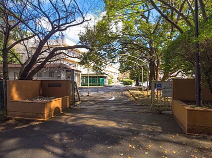 柏市立藤心小学校 1100m(徒歩14分)