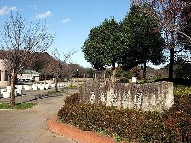 西城沼公園（約550m）
