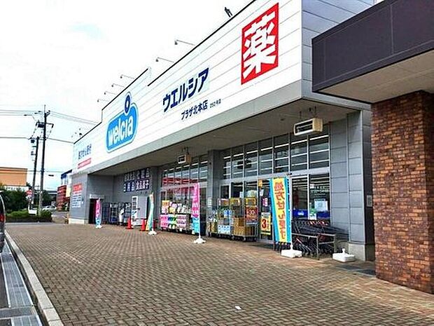 ウエルシアプラザ北本店(約700m)