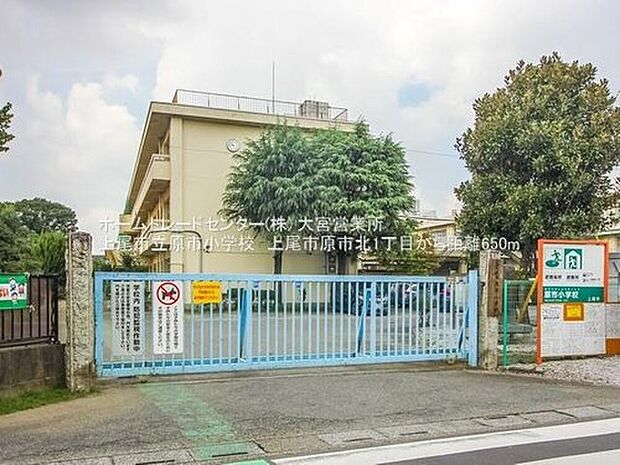 上尾市立原市小学校（約650m）
