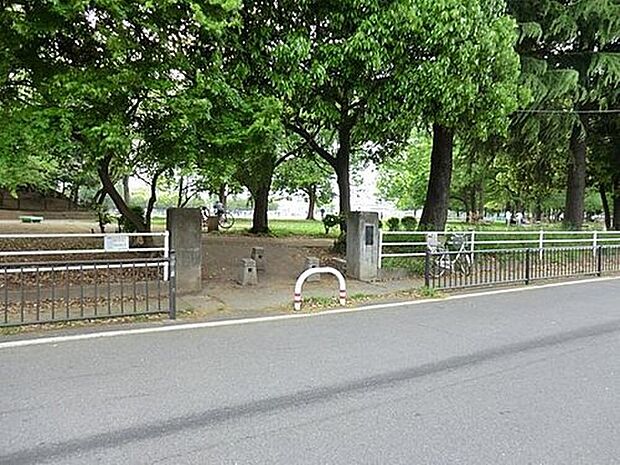 つつじヶ丘公園(約290m)