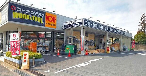 コーナンドイト岩槻（約850m）