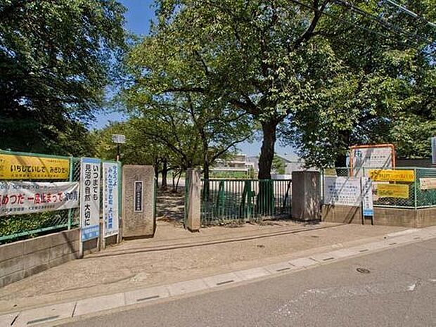 さいたま市立大砂土東小学校(約560m)