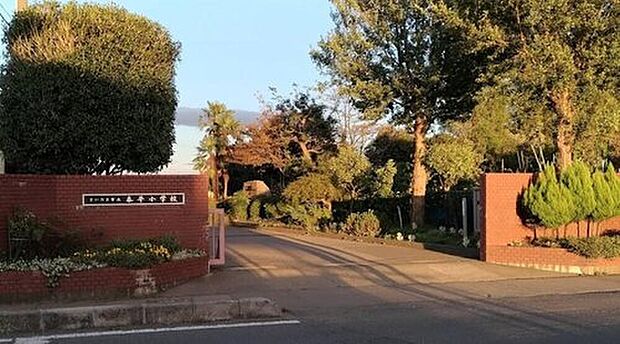 さいたま市立泰平小学校（約350m）