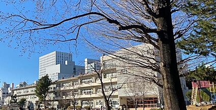 さいたま市立大宮小学校 1000m(徒歩13分)